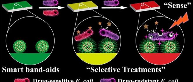 Vendajes que cambian de color al identificar infecciones bacterianas (Foto. CAS)