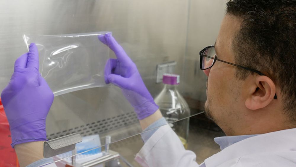 Una capa antimicrobiana podría eliminar las enfermedades transmitidas por los alimentos (Foto. Universidad de Penn State)