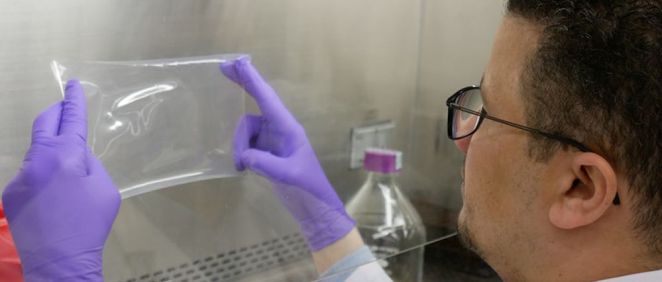 Una capa antimicrobiana podría eliminar las enfermedades transmitidas por los alimentos (Foto. Universidad de Penn State)