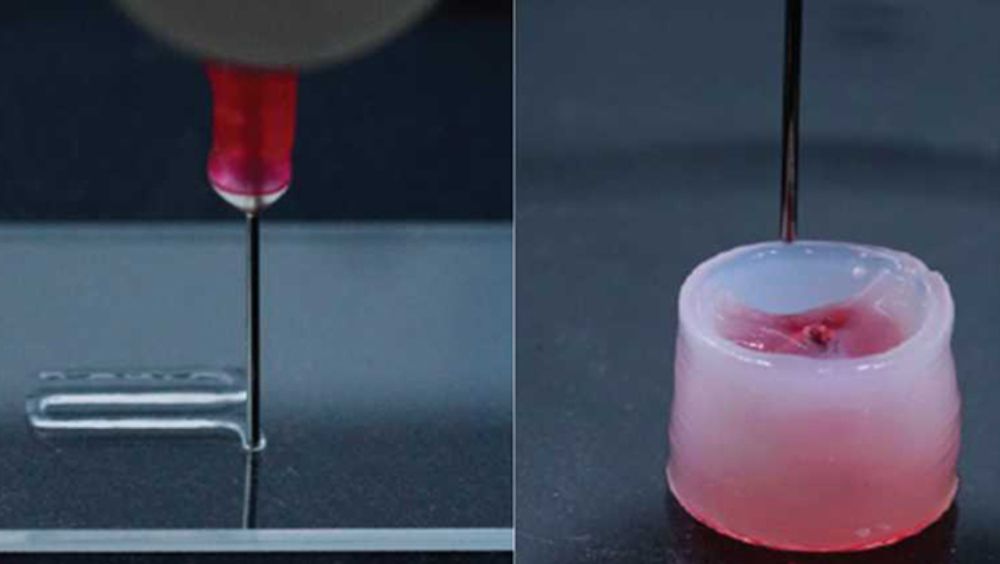 Esta nueva tina (en realidad es un gel) está fabricada con fibras de celulosa y nanopartículas poliméricas biodegradables (Foto. ETH Zurich)