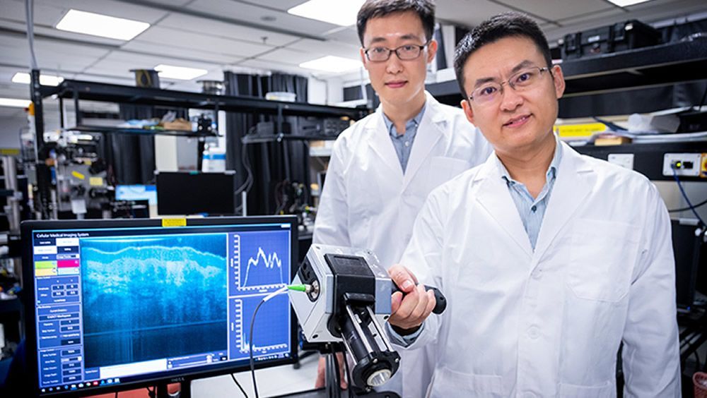 Diseñan un dispositivo para detectar tumores debajo de la superficie de la piel (Foto. Universidad Tecnológica de Nanyang, Singapur)