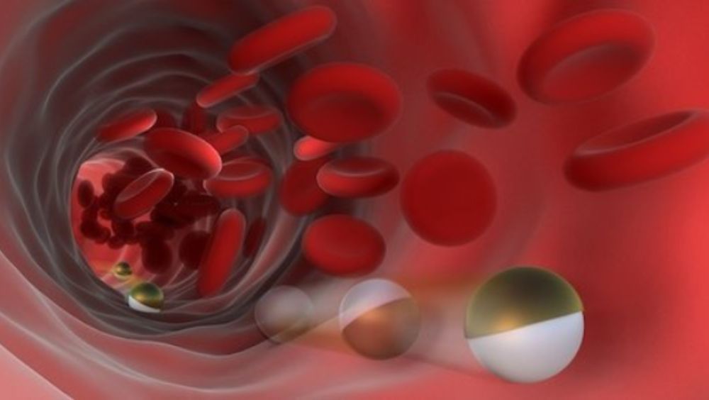 Los nuevos microtransportadores desarrollados por los investigadores de Max Planck en Stuttgart pueden rodar a lo largo de las paredes internas de los vasos sanguíneos, incluso en contra del flujo de sangre (Foto. Instituto Max Planck)