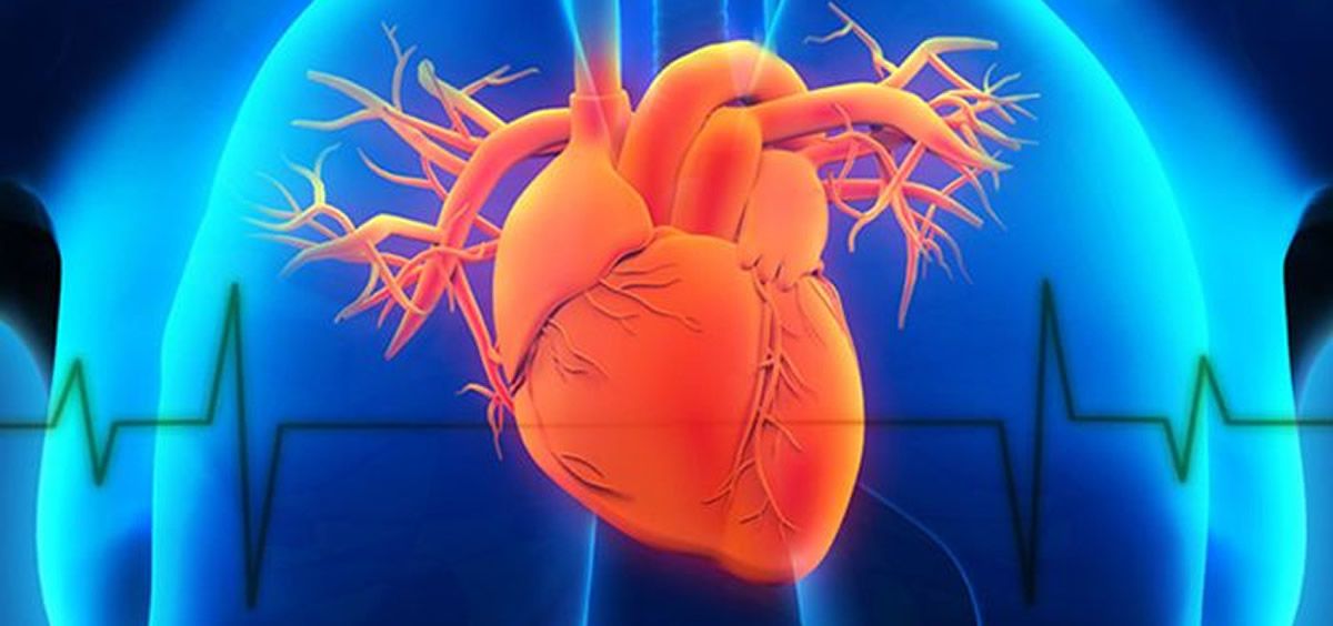 Crean modelos exactos de válvulas cardíacas aórticas para procedimientos mínimamente invasivos