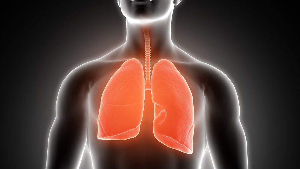 Salud pulmonar (Foto. Freepik)