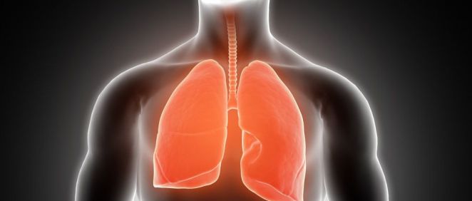 Salud pulmonar (Foto. Freepik)