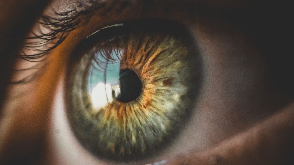 Los implantes de retina pueden dar visión artificial a las personas ciegas (Foto. Pixabay)