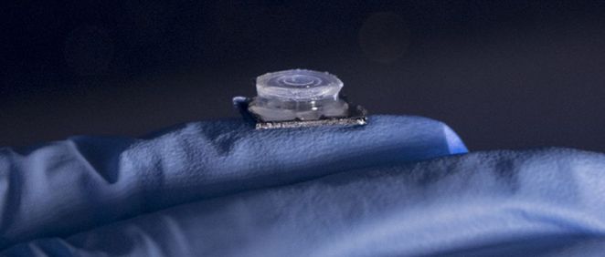 Imagen del chip (Foto: Imperial College de Londres)