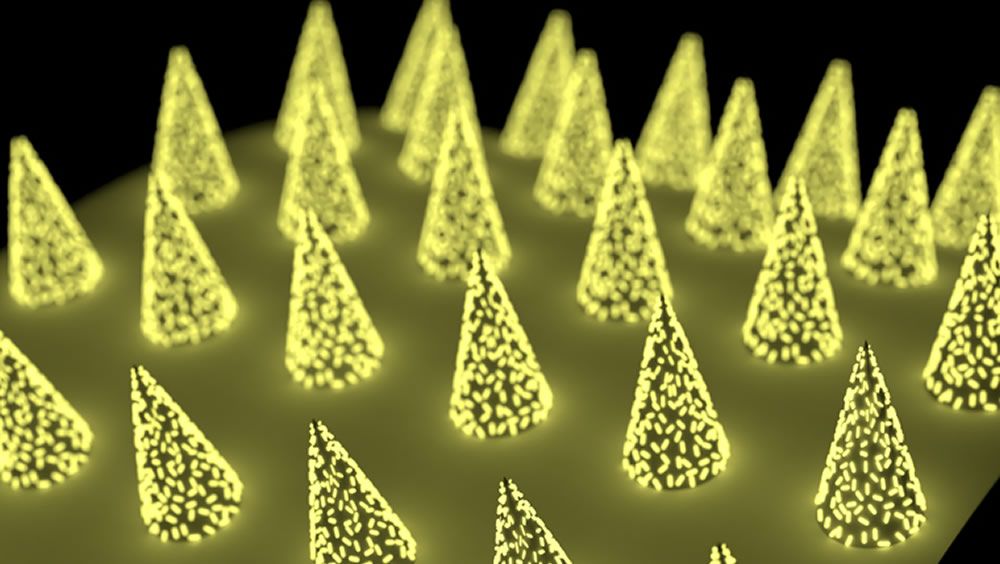 Un parche de microagujas con nanoetiquetas fluorescentes detecta anticuerpos en la piel. (Imagen. Sisi Cao)