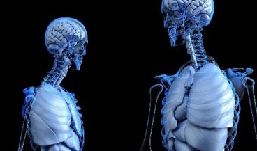 Implantes en 3D imitan la función natural del hueso