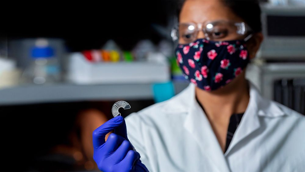 Investigadores con gusano de cera (Foto. Universidad de Utah)