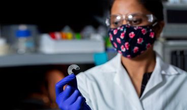Investigadores utilizan seda de gusano para modelar el tejido muscular (Foto. Universidad de Utah)