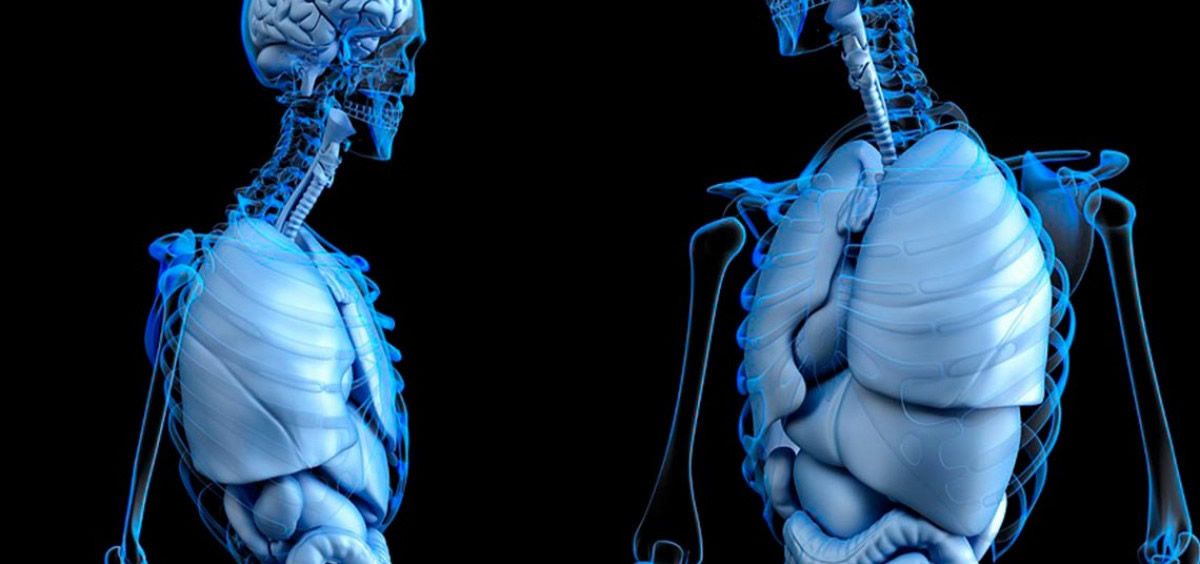 Stents inspirados por kirigami, nueva técnica para administrar fármacos a órganos tubulares