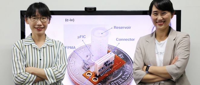 La  profesora Sohee Kim y la Dra. Yoo Na Kang del Departamento de Ingeniería Robótica de DGIST frente a una imagen de su interfaz neuronal flexible (Foto. DGIST) 