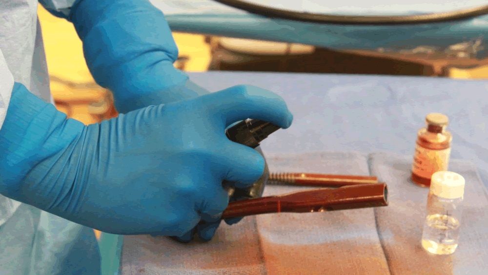 Un revestimiento antimicrobiano para implantes ortopédicos previene infecciones peligrosas (Foto. Universidad de Duke)