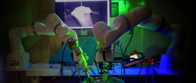 Primera cirugía robótica realizada sin ayuda humana. (Foto. Universidad Johns Hopkins)