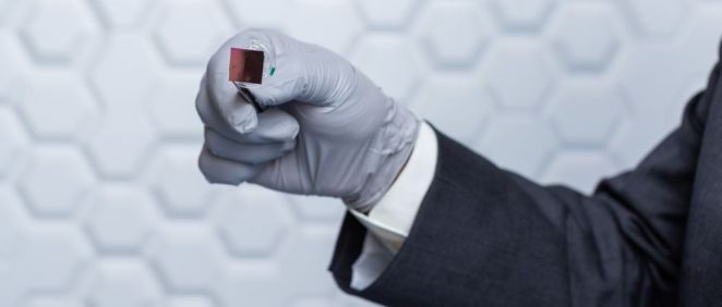 Un nanochip de silicio puede reprogramar el tejido biológico en el cuerpo (Foto. Universidad de Indiana)