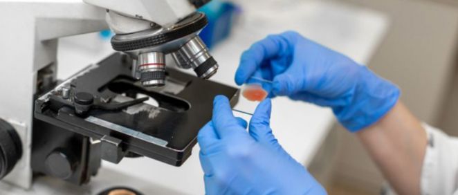 Científico analizando muestras de sangre en un microscopio (Foto. Freepik)
