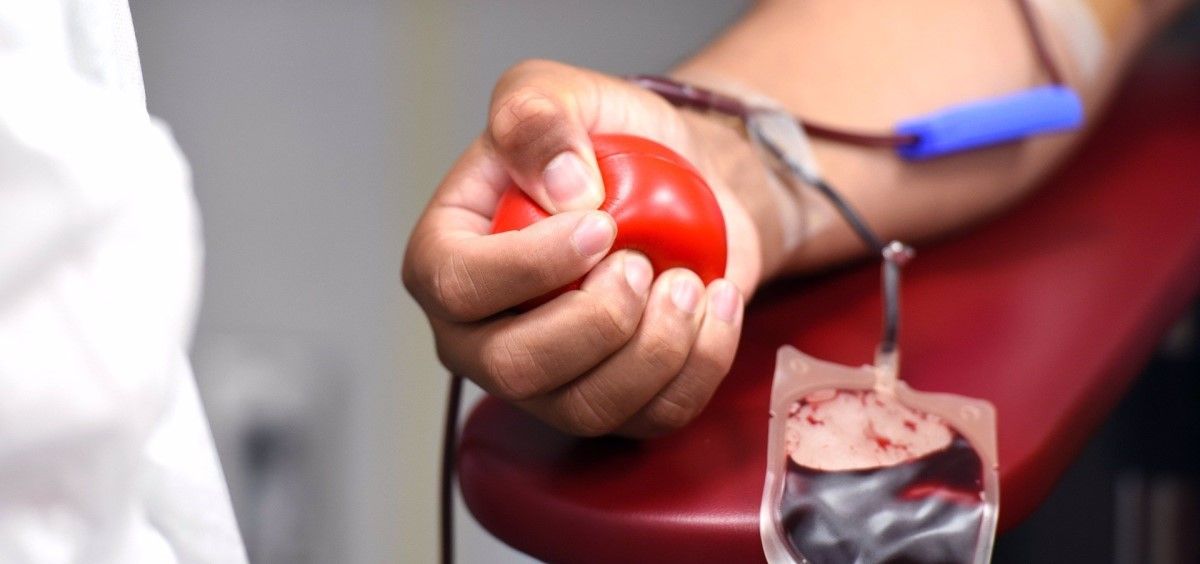 Donación de sangre. (Foto. Centro de transfusión de la Comunidad de Madrid)