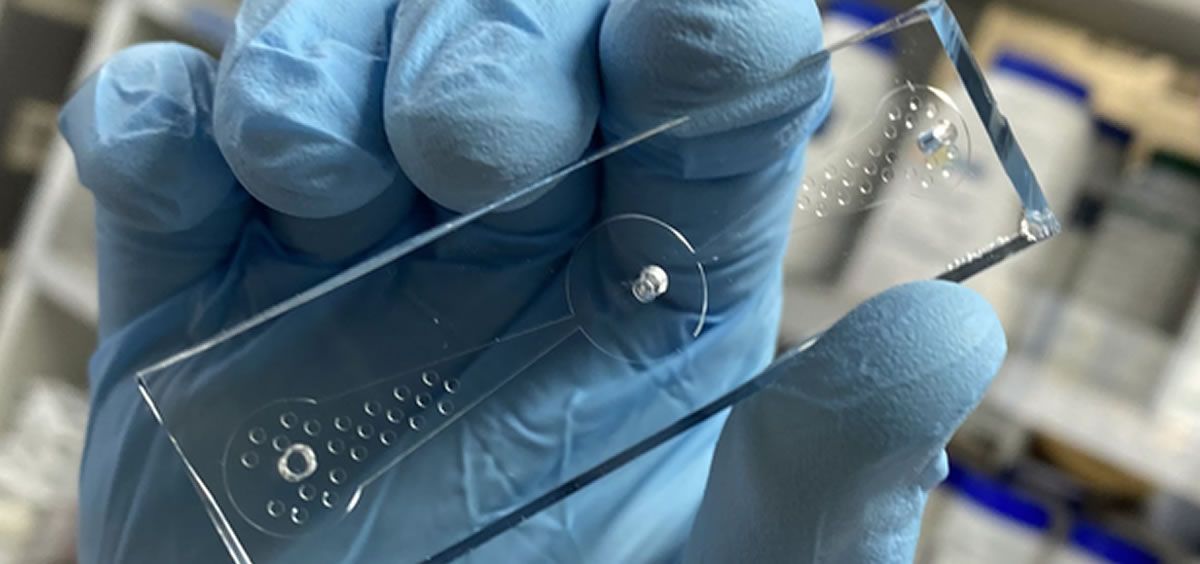 El dispositivo de gusano en un chip (Foto. EurekaAlert)