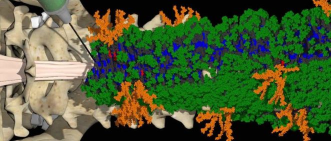 Una imagen de las moléculas (Foto. Northwestern University)