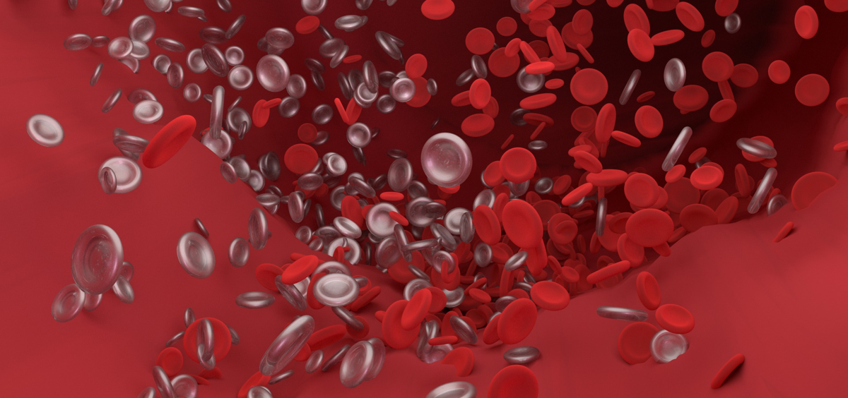 Cogulación de la sangre (Foto. Pixabay)