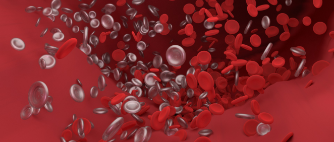 Cogulación de la sangre (Foto. Pixabay)