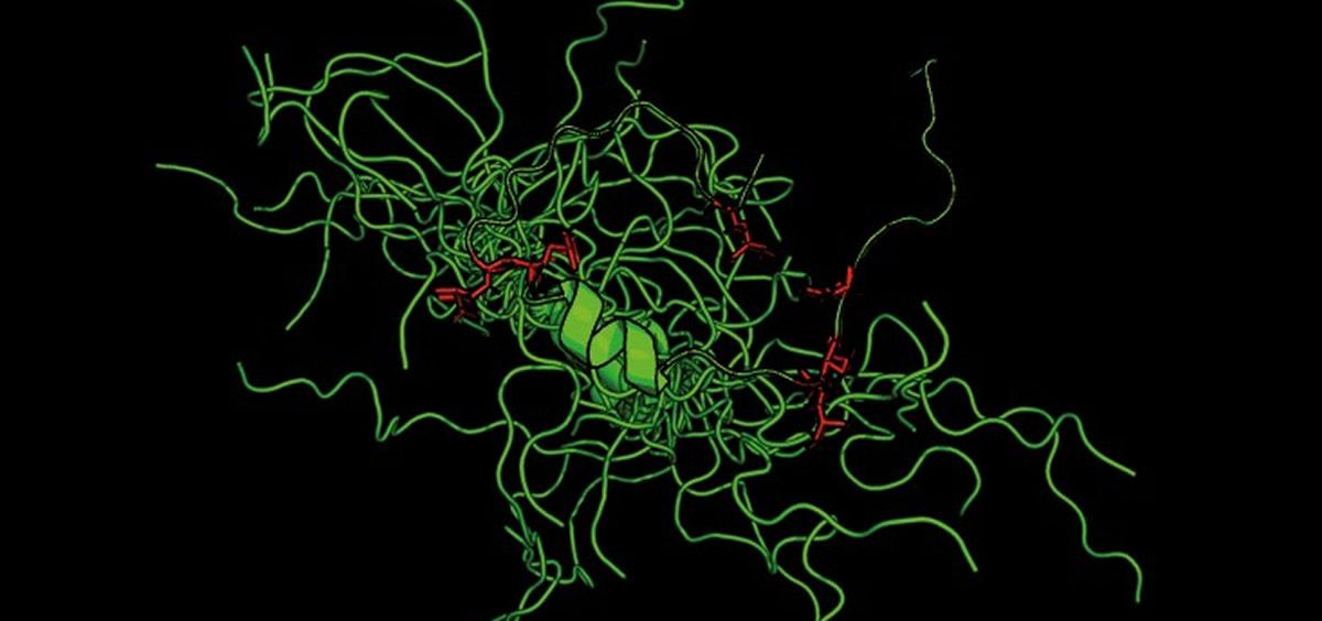 Conjunto de estructuras del fragmento prionoide de TDP-43 con modificaciones (en rojo) / CSIC