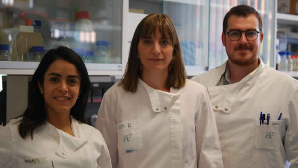 Narda Medina, Juan Carlos Soto Debran y Ana Alastruey, investigadores y coordinadora, respectivamente, del Laboratorio de Referencia en Micología del ISCIII (Foto, ISCII