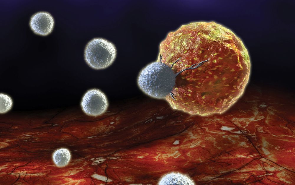 Células T: destruir al cáncer reprogramando células inmunes