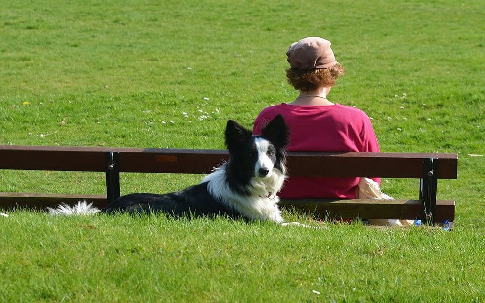 Perro junto a su dueña, en el parque.