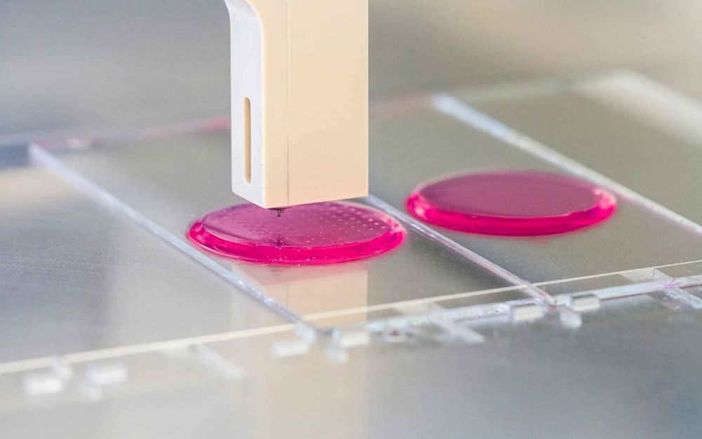 Crean sistemas de bioimpresión 3D para regenerar cartílagos y huesos