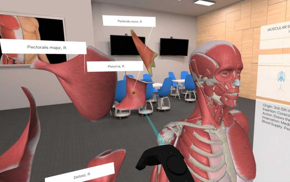 Secuencia del sistema de realidad aumentada 3D Organon