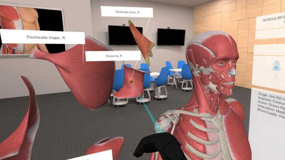 Resultado de imagen para El primer curso de ANATOMÃA con REALIDAD VIRTUAL