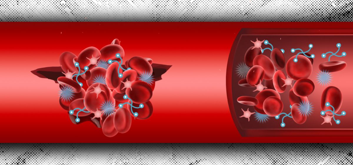 Proceso de coagulación de la sangre con el sistema artificial diseñado por el MIT (Foto. MIT)