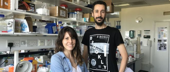Clea Bárcena, de la Universidad de Oviedo, y Pedro Quirós, investigador de IPSA, responsables de la investigación. (Foto: Universidad de Oviedo)