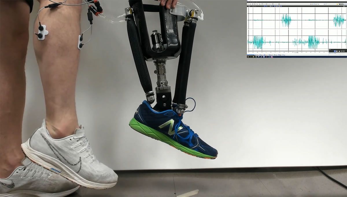 Prótesis robótica de tobillo (Foto: NC STATE/Aaron Fleming)