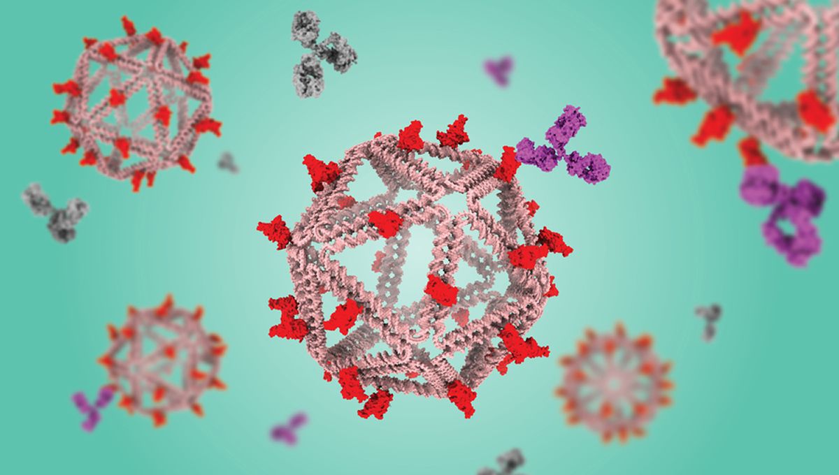 Vacuna con estructura de ADN (Foto: MIT)