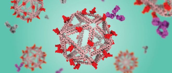 Vacuna con estructura de ADN (Foto: MIT)
