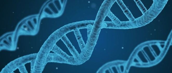 La herramienta de edición genética CRISPR ha revolucionado la investigación
