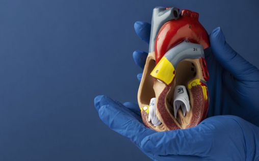Un nuevo modelo de IA mejoraría la precisión en diagnóstico y tratamiento de arritmias ventriculares