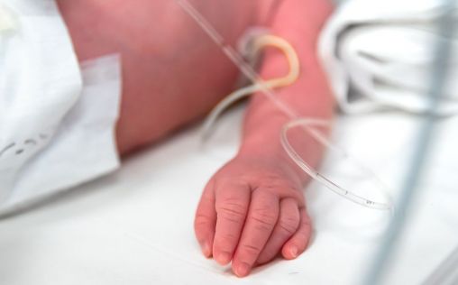 Un estudio sobre emulsiones lipídicas recoge grandes beneficios para el cerebro de bebés prematuros