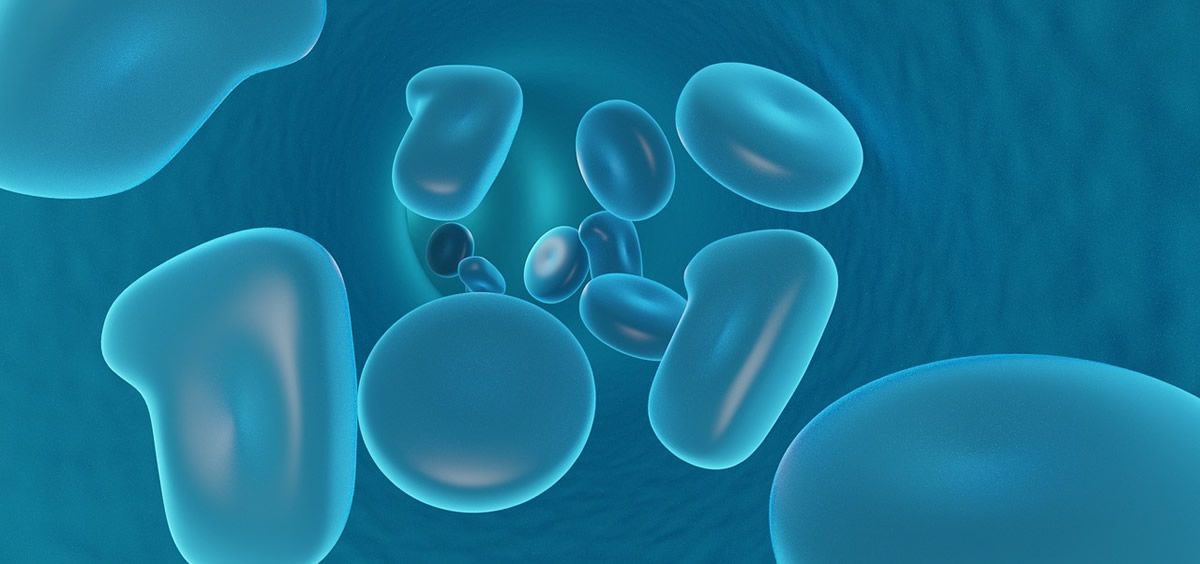 El hidrogel promueve el crecimiento celular incluso sin fármacos