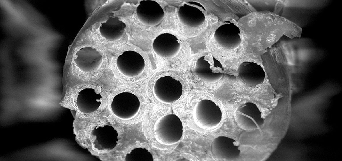 Los implantes presentan una geometría de tubo hueco y una parte interna en forma de microcanales o fibras que permiten la proliferación de las células