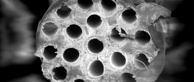 Los implantes presentan una geometría de tubo hueco y una parte interna en forma de microcanales o fibras que permiten la proliferación de las células