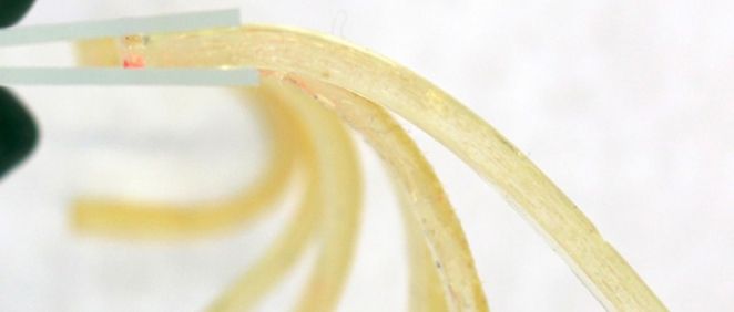 Gel biocompatible elaborado por investigadores del MIT