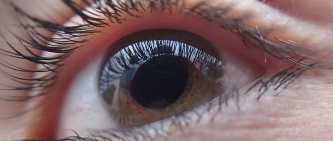 Investigadores de la UPV crean un nuevo sistema para la detección temprana de daños en la retina