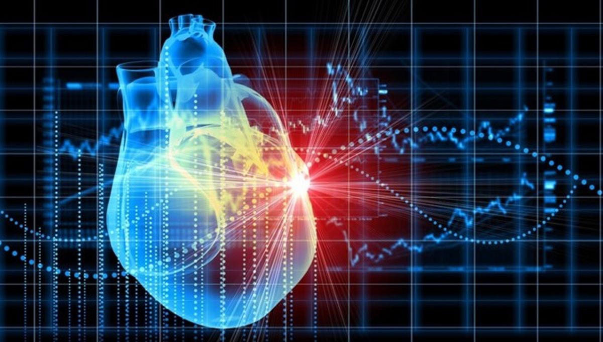 Diseñan un dispositivo para prevenir la insuficiencia cardiaca tras sufrir un infarto