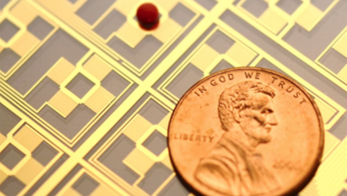 Imagen del dispositivo microfluídico diseñado por investigadores de la Universidad de Duke