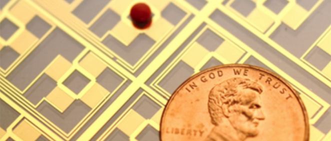 Imagen del dispositivo microfluídico diseñado por investigadores de la Universidad de Duke