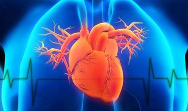 Innovación algorítmica, nuevo método para reducir los procedimientos cardíacos invasivos